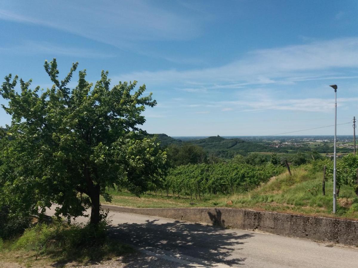 Agriturismo Casa Delle Rose Winery Ruttàrs 外观 照片