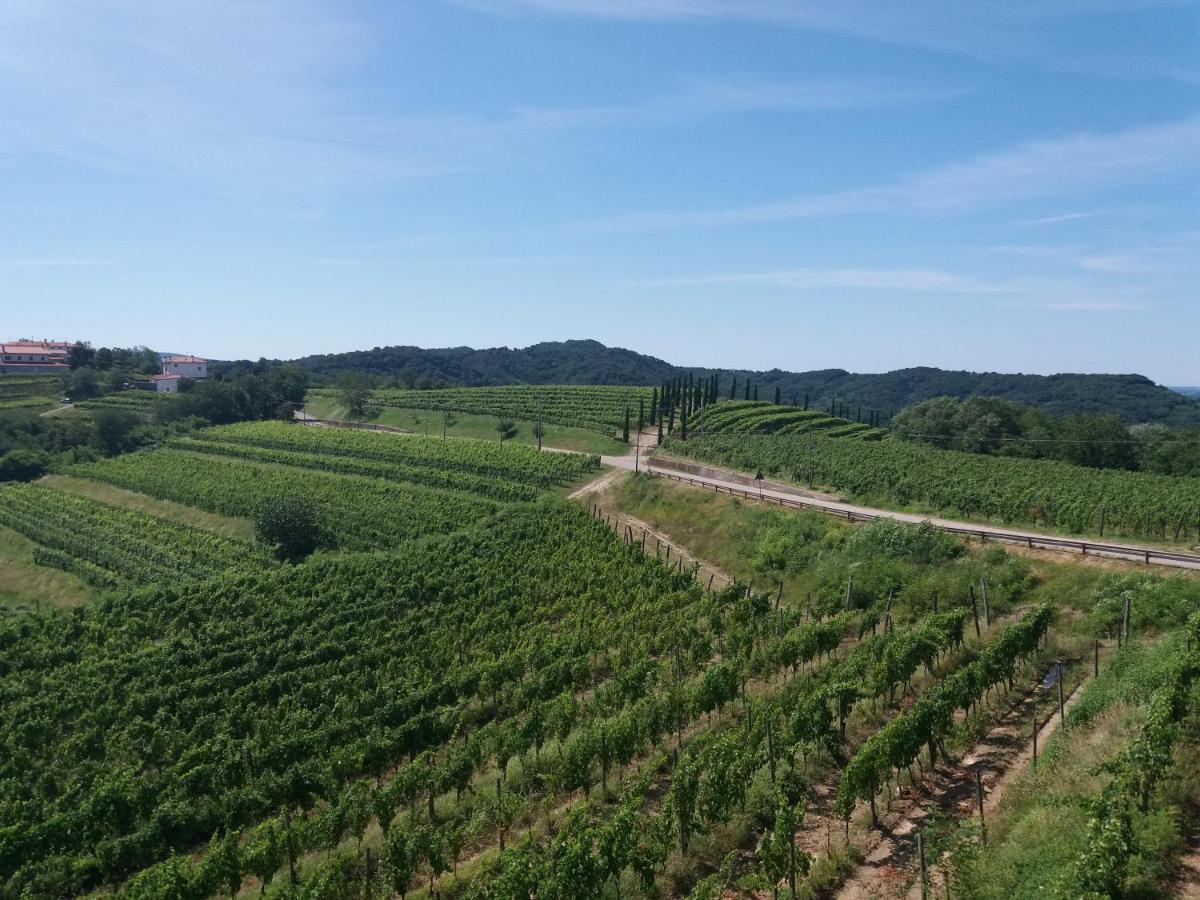 Agriturismo Casa Delle Rose Winery Ruttàrs 外观 照片