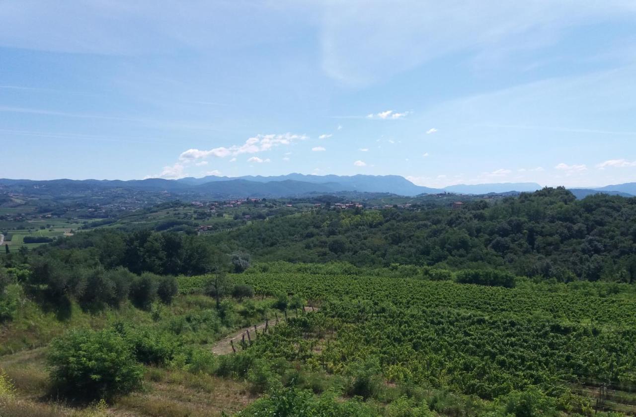 Agriturismo Casa Delle Rose Winery Ruttàrs 外观 照片