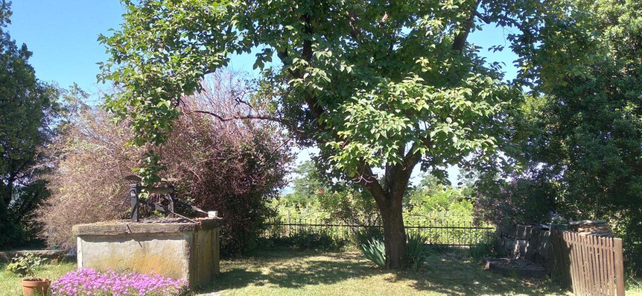 Agriturismo Casa Delle Rose Winery Ruttàrs 外观 照片