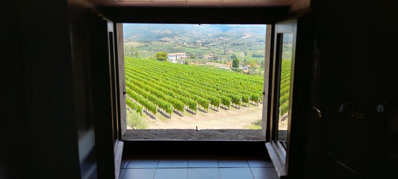 Agriturismo Casa Delle Rose Winery Ruttàrs 外观 照片