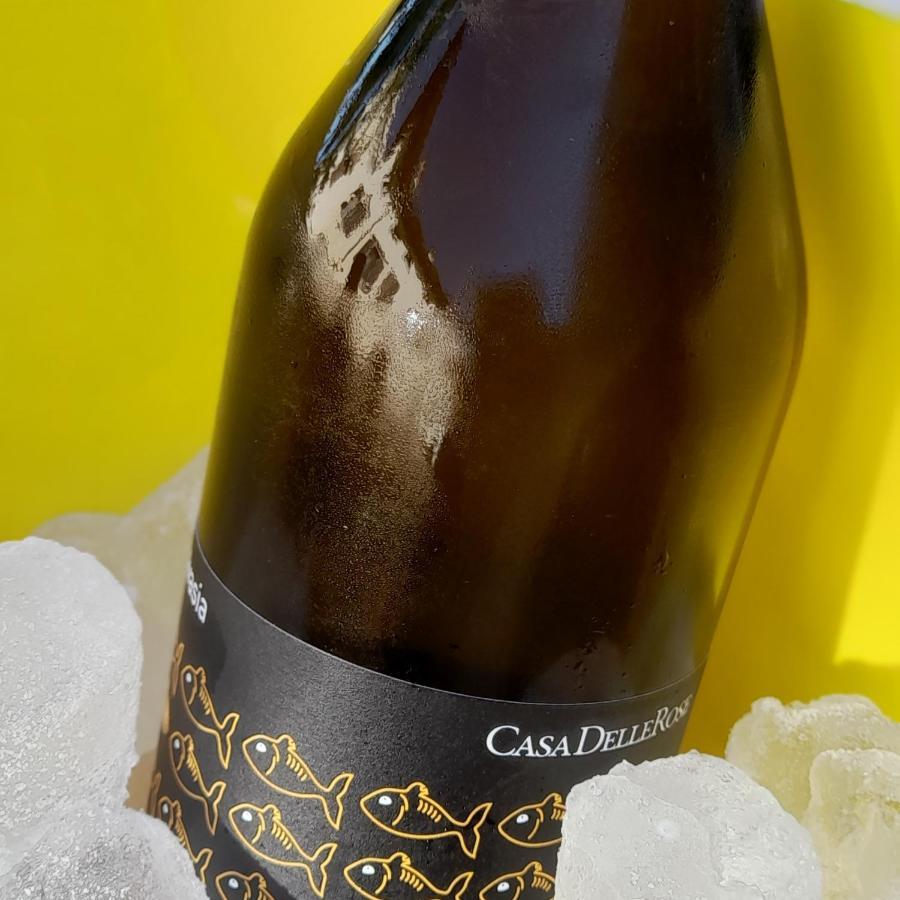 Agriturismo Casa Delle Rose Winery Ruttàrs 外观 照片