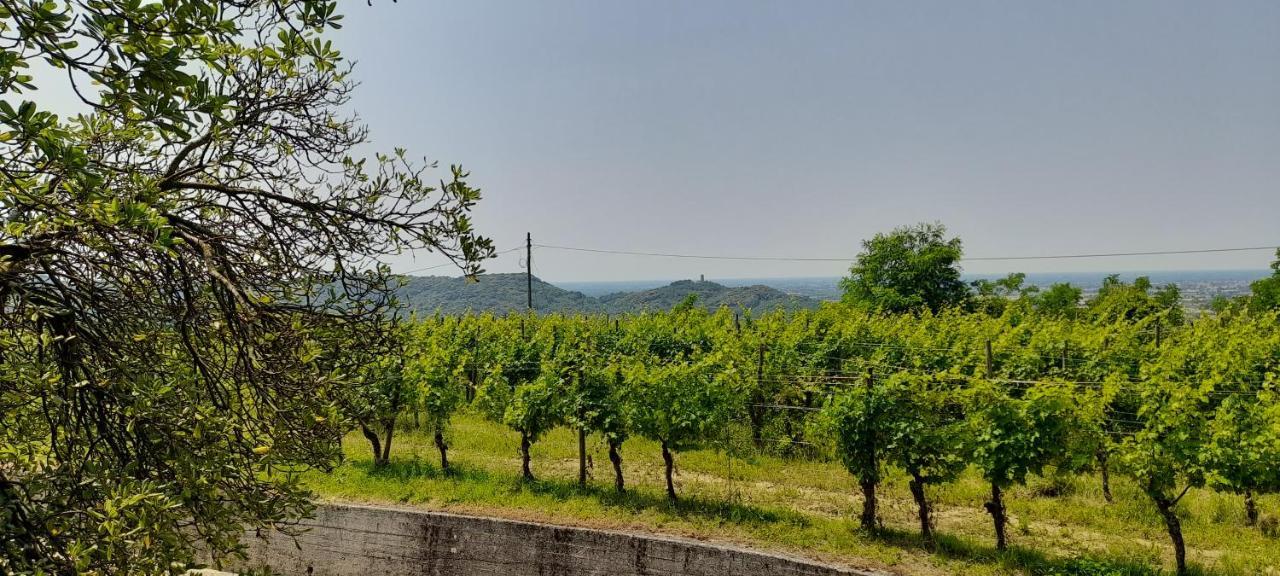 Agriturismo Casa Delle Rose Winery Ruttàrs 外观 照片