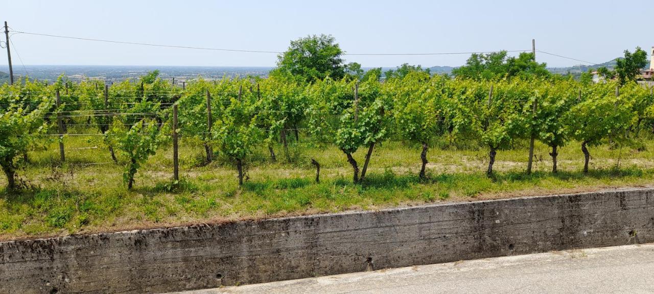 Agriturismo Casa Delle Rose Winery Ruttàrs 外观 照片