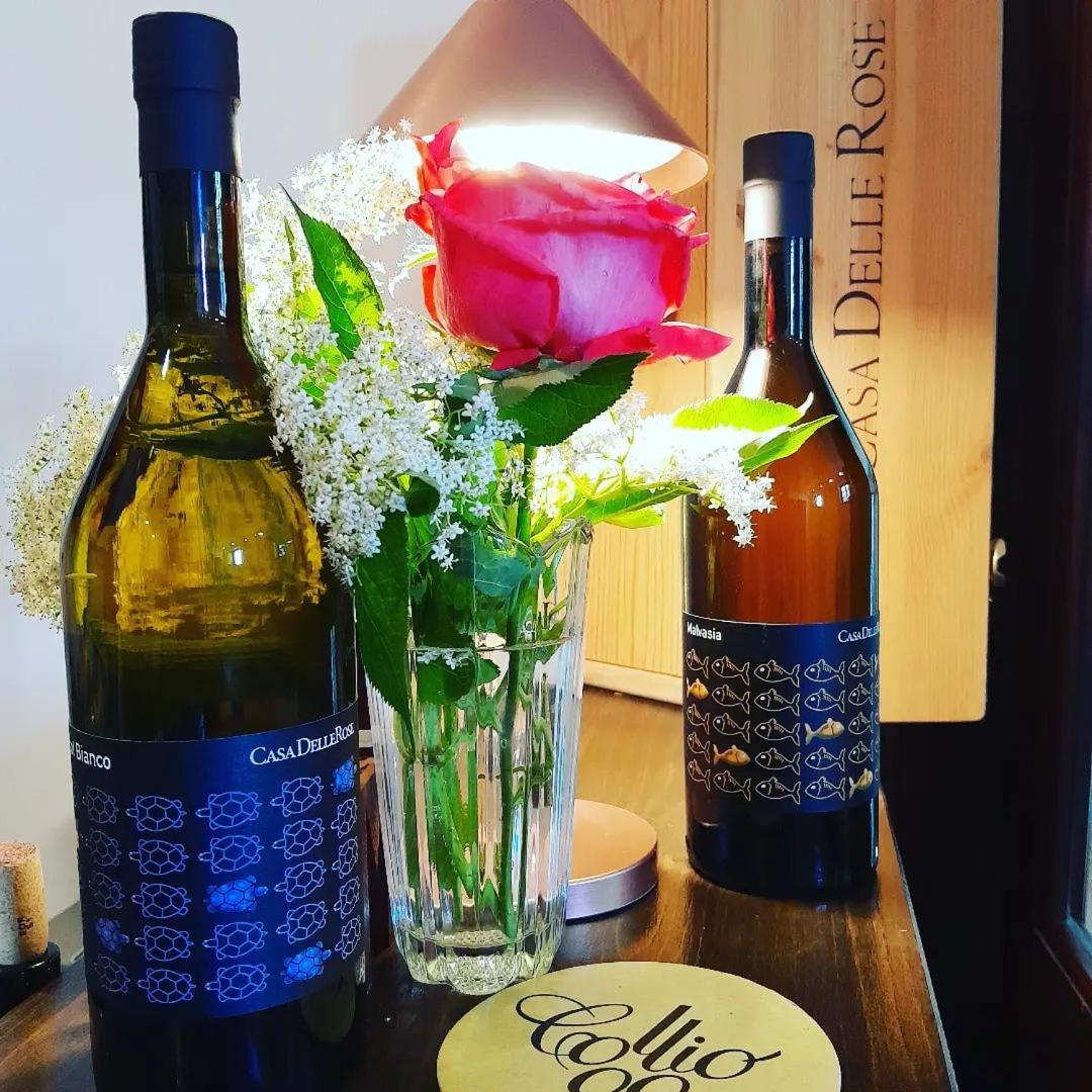 Agriturismo Casa Delle Rose Winery Ruttàrs 外观 照片
