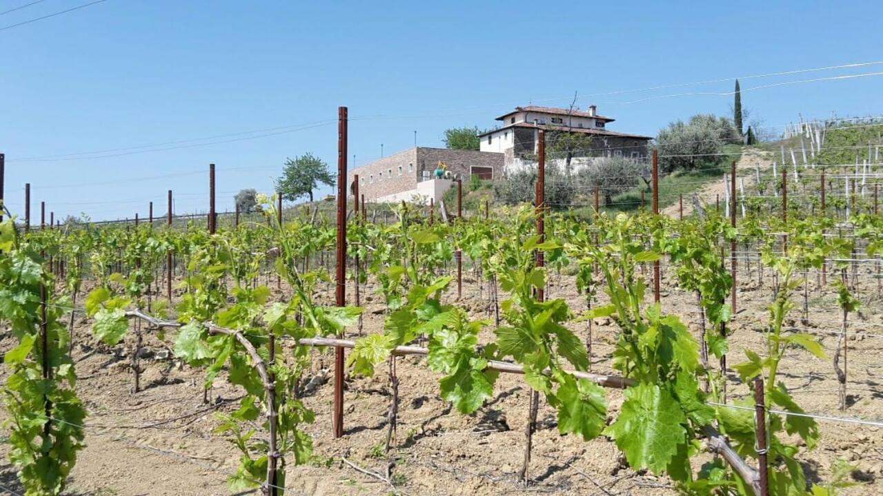 Agriturismo Casa Delle Rose Winery Ruttàrs 外观 照片