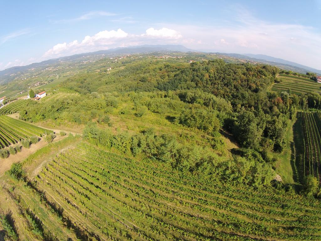 Agriturismo Casa Delle Rose Winery Ruttàrs 外观 照片