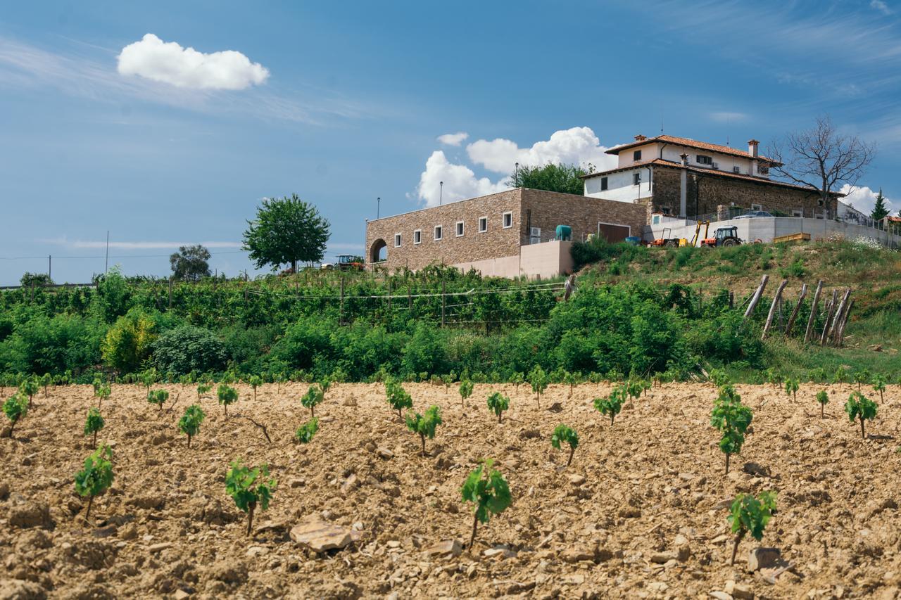 Agriturismo Casa Delle Rose Winery Ruttàrs 外观 照片
