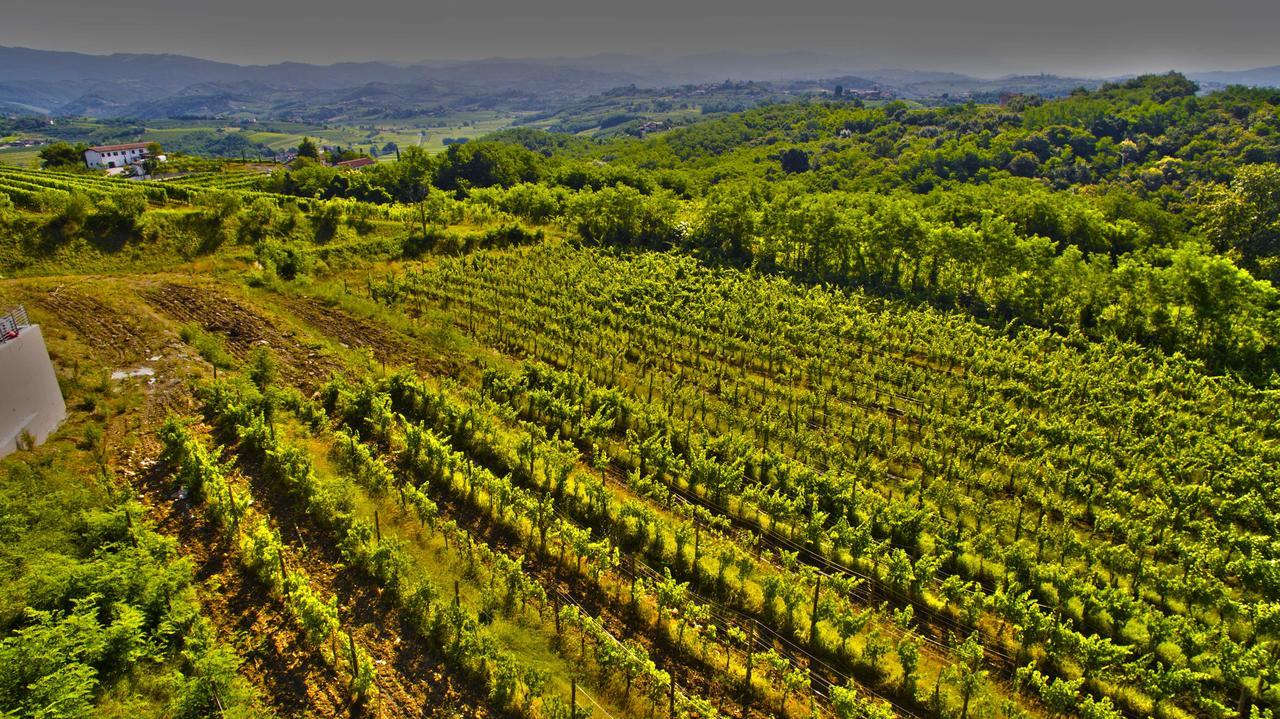 Agriturismo Casa Delle Rose Winery Ruttàrs 外观 照片
