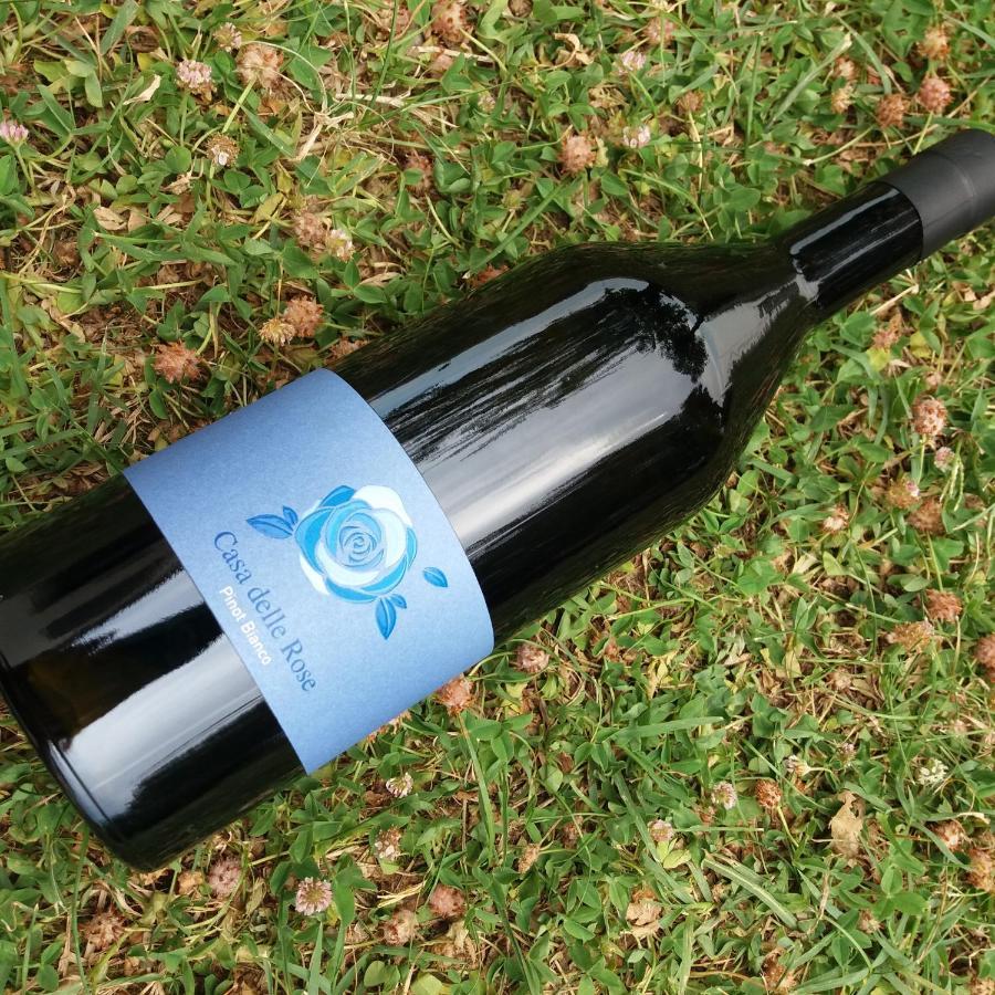 Agriturismo Casa Delle Rose Winery Ruttàrs 外观 照片